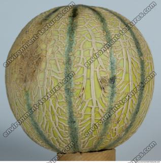Melon Galia 0008